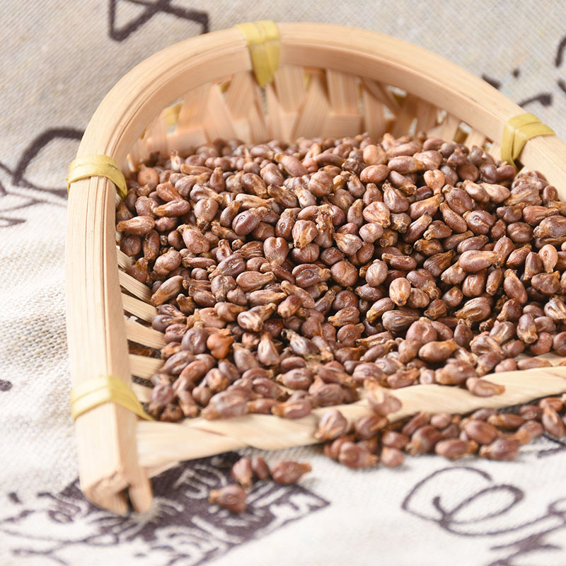 Grape Seed (Vitis vinifera) — Dried Food-Herb Botanical, 500g New-Crop Supply - Image 3