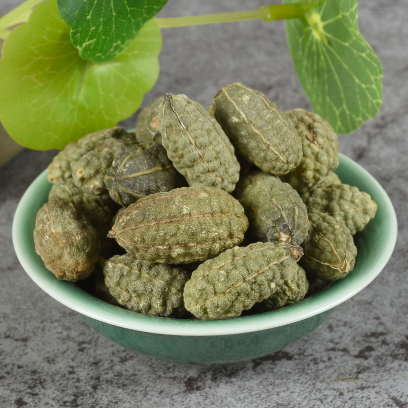 Wild Watermelon Fruit (Citrullus colocynthis) — Dried Xinjiang Food Herb, 500g - Image 4
