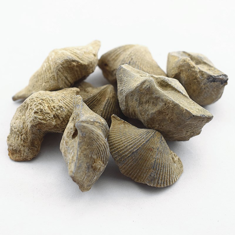 Shi Yan Stone Swallow Mineral Shi Yan Dried Mineral Piece Traditional TCM Use 500g - Image 3