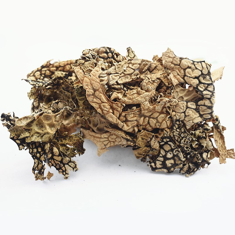 Lao Long Pi Dried Lobaria Herb 500g Traditional Chinese Botanical Loose Raw Herb - Image 3