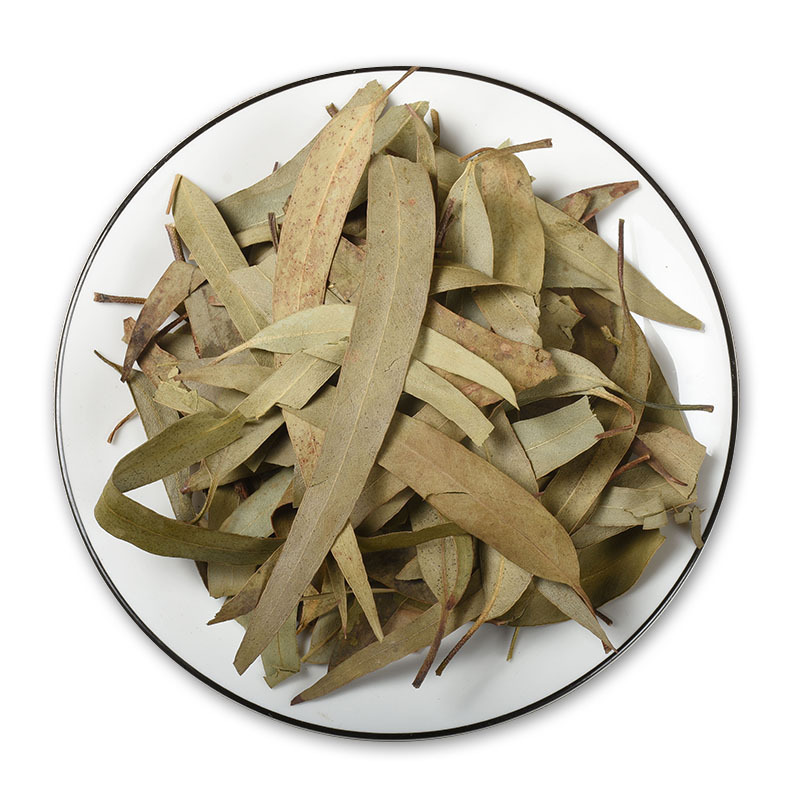 Eucalyptus Leaves (Eucalyptus globulus) — Dried Herbal Leaf for Tea & Steam - Image 5