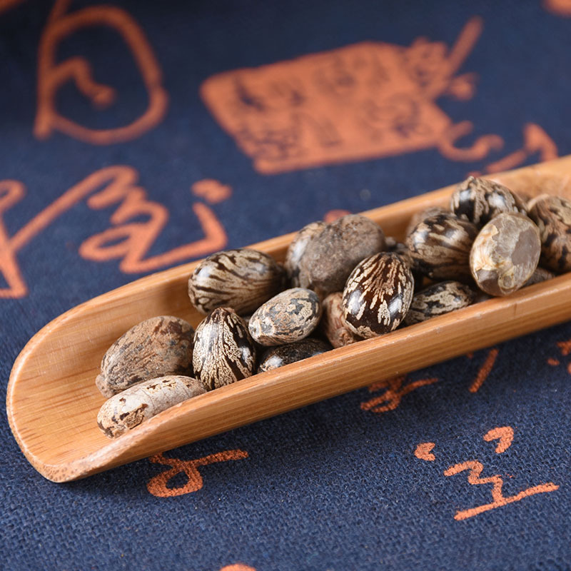 Castor Bean Seeds (Ricinus communis) — Dried Bi Ma Ren Herbal Seed, 500g - Image 4