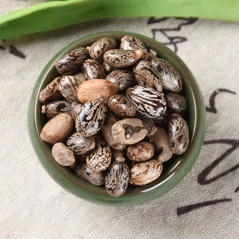 Castor Bean Seeds (Ricinus communis) — Dried Bi Ma Ren Herbal Seed, 500g - Image 2