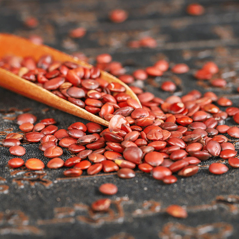 Suan Zao Ren (Ziziphus jujuba var. spinosa) — Hebei Stir-Fried & Raw Jujube Seed, 500g - Image 4