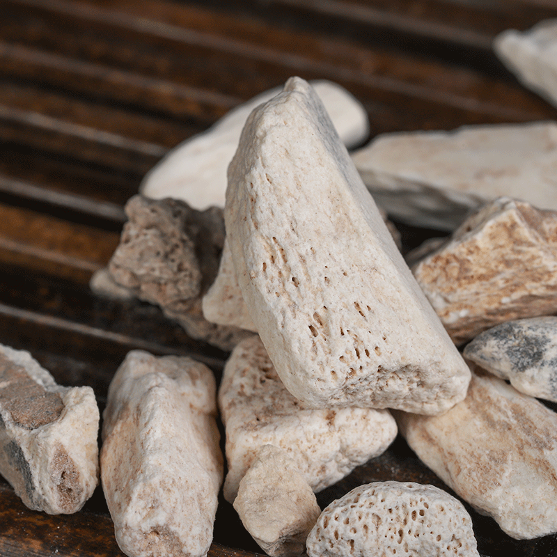 Long Gu (Fossilized Bone) — Dried Mineral Herb for Decoction & Cooking, 500g - Image 3