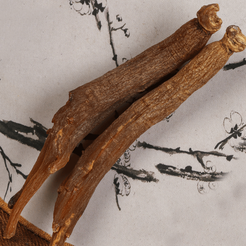 Red Ginseng Roots (Panax ginseng) — Changbai Mountain Dried Whole Roots, 500g - Image 4