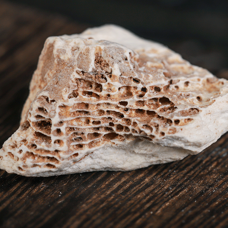 Long Gu (Fossilized Bone) — Dried Mineral Herb for Decoction & Cooking, 500g - Image 4