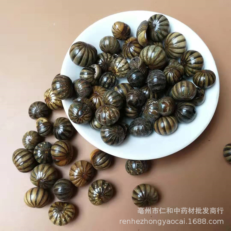Gun Shan Chong Dried Insect Herb 500g Traditional Chinese Herbal Material - Image 4