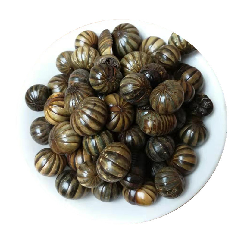 Gun Shan Chong Dried Insect Herb 500g Traditional Chinese Herbal Material - Image 5