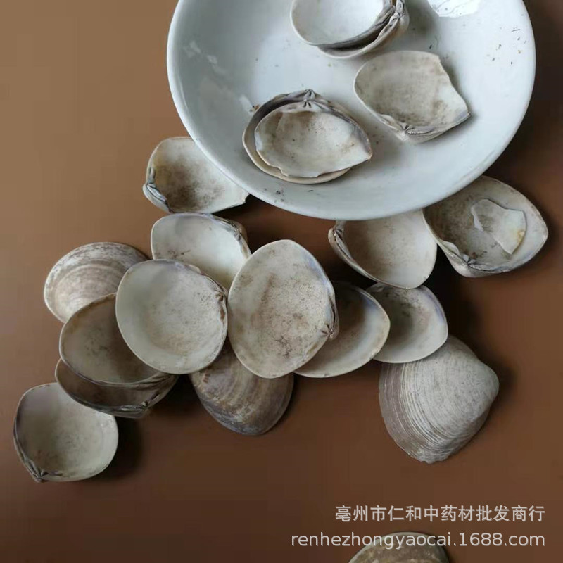 Sea Clam Shell Hai Ge Ke Dried Herbal Ingredient 500g for Culinary and Traditional Use - Image 3