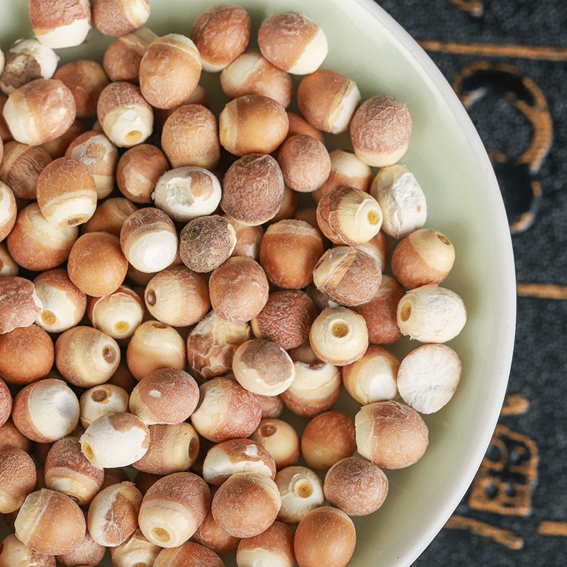 Qian Shi (Euryale ferox) — Dried Gorgon Nut Seeds, Zhaoqing Guangdong, 500g - Image 3