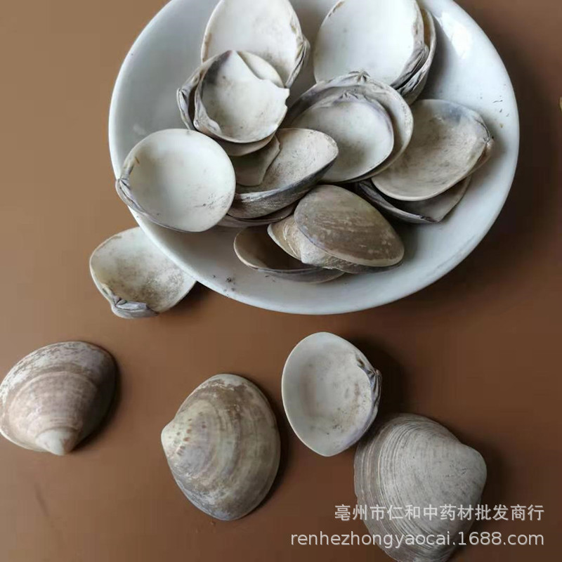 Sea Clam Shell Hai Ge Ke Dried Herbal Ingredient 500g for Culinary and Traditional Use - Image 4