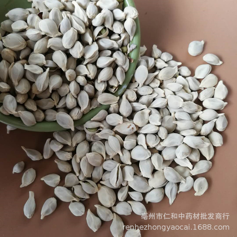 Dried Tangerine Seed Ju He 500g Whole Citrus Seeds Raw Herb for Decoction - Image 4