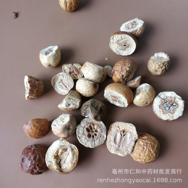 Chuan Lian Zi Dried Toosendan Fruit Whole Sichuan Chinaberry 川楝子 500g Bulk Herbal Ingredient - Image 3