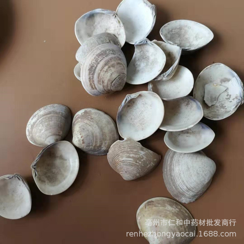 Sea Clam Shell Hai Ge Ke Dried Herbal Ingredient 500g for Culinary and Traditional Use - Image 2