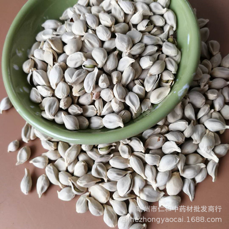 Dried Tangerine Seed Ju He 500g Whole Citrus Seeds Raw Herb for Decoction - Image 2