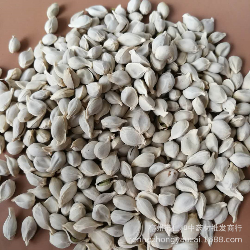 Dried Tangerine Seed Ju He 500g Whole Citrus Seeds Raw Herb for Decoction - Image 3