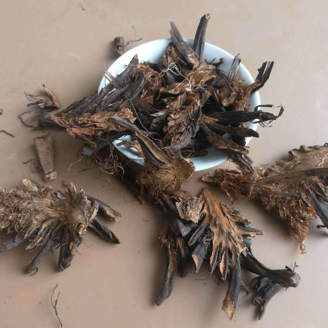Dried Guan Zhong Whole Root Male Fern Rhizome Traditional Chinese Herb 500g - Image 3