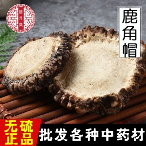 Deer Antler Cap (Cervus nippon) — Dried TCM Deer Antler Disc for Decoction & Soup