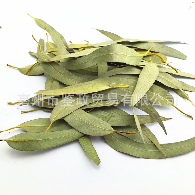 Dried Eucalyptus Leaf An Ye Bulk Herbal Tea Ingredient Sun Dried 500g - Image 2