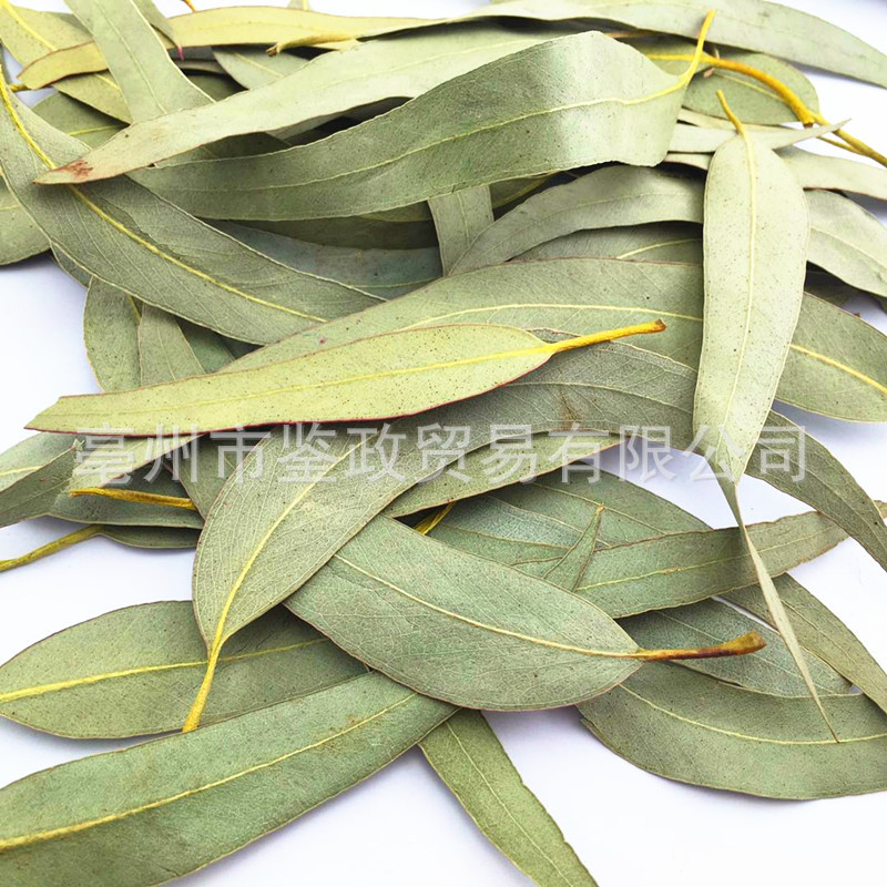 Dried Eucalyptus Leaf An Ye Bulk Herbal Tea Ingredient Sun Dried 500g - Image 4