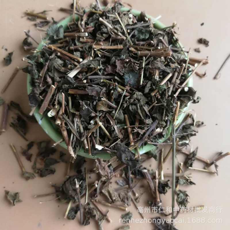 Dried Rabdosia Rubescens Herb Dong Ling Cao Whole Herb for Herbal Tea and Decoction 500g - Image 2
