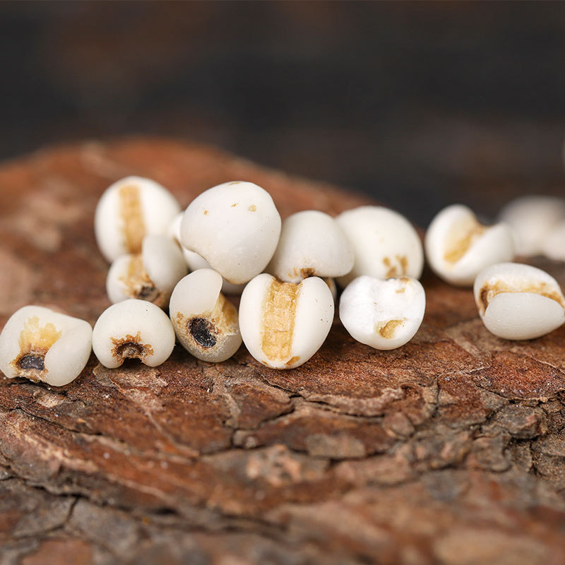 Yi Mi Ren (Coix Seed / Job's Tears) — Guizhou Roasted Coix lacryma-jobi for Soup & Tea - Image 4