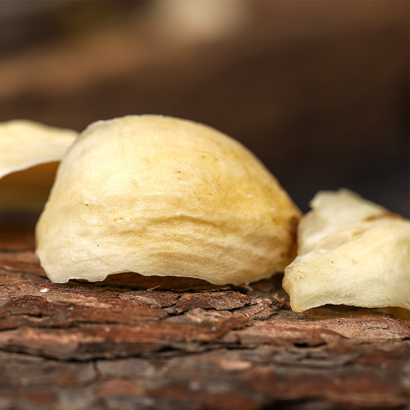 Bai He Dried Lily Bulb (Lilium lancifolium) — Sulfur-Free Hunan Lily for Tea, Soup & Congee - Image 3