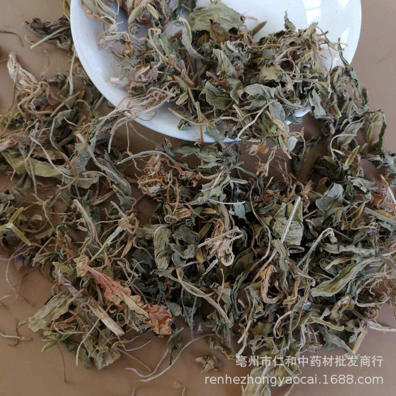 Viola Herb Zi Hua Di Ding Dried Whole Herb 500g Traditional Chinese Herbal Ingredient - Image 2