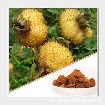 Ci Li Dried Fruit (Rosa roxburghii) — Guizhou Wild-Grown Herbal Tea Fruit, 500g - Image 5