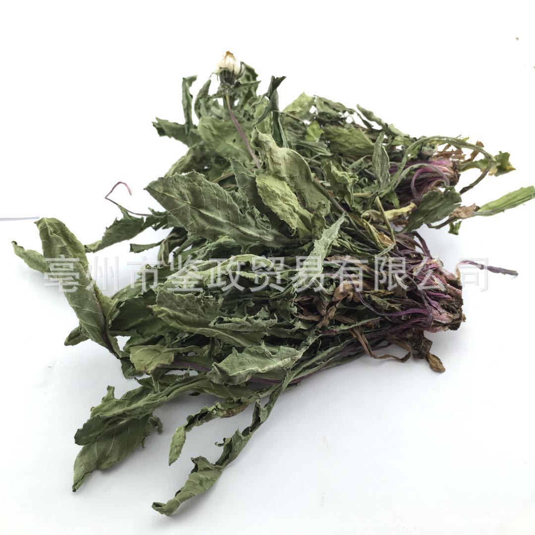 Dried Dandelion Herb Pu Gong Ying Whole Plant Sun Dried Traditional Herbal Tea Ingredient 500g - Image 5