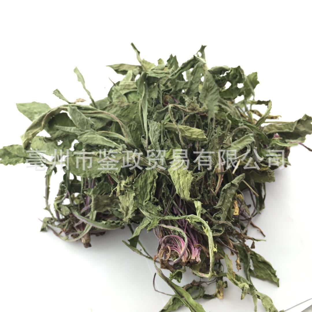 Dried Dandelion Herb Pu Gong Ying Whole Plant Sun Dried Traditional Herbal Tea Ingredient 500g - Image 4