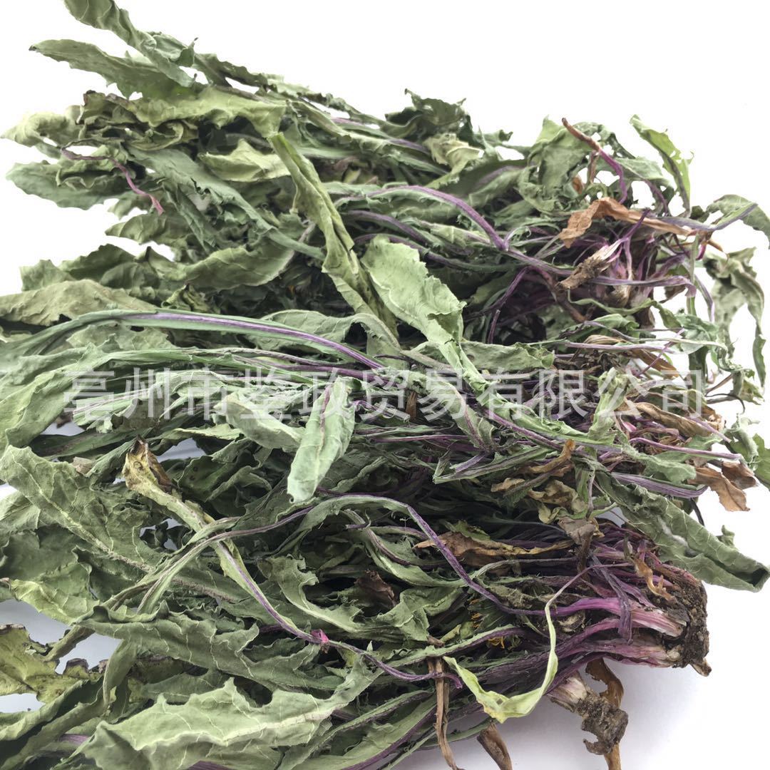 Dried Dandelion Herb Pu Gong Ying Whole Plant Sun Dried Traditional Herbal Tea Ingredient 500g - Image 2