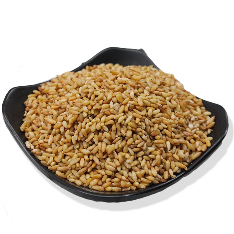 Bai Zi Ren (Platycladus orientalis Seed) — Shelled Arborvitae Seeds, 500g New Crop - Image 5