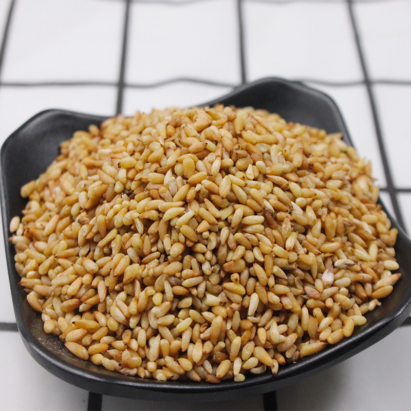 Bai Zi Ren (Platycladus orientalis Seed) — Shelled Arborvitae Seeds, 500g New Crop - Image 3