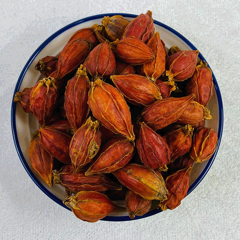 Gardenia Fruit Zhi Zi 500g Dried Fructus Gardeniae Herbal Decoction Pieces - Image 3