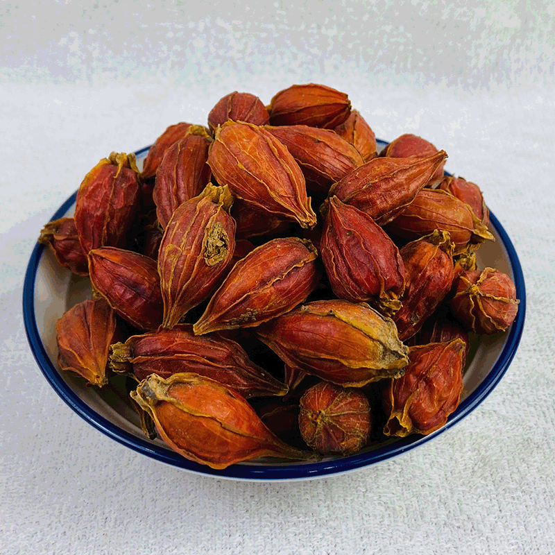 Gardenia Fruit Zhi Zi 500g Dried Fructus Gardeniae Herbal Decoction Pieces - Image 2