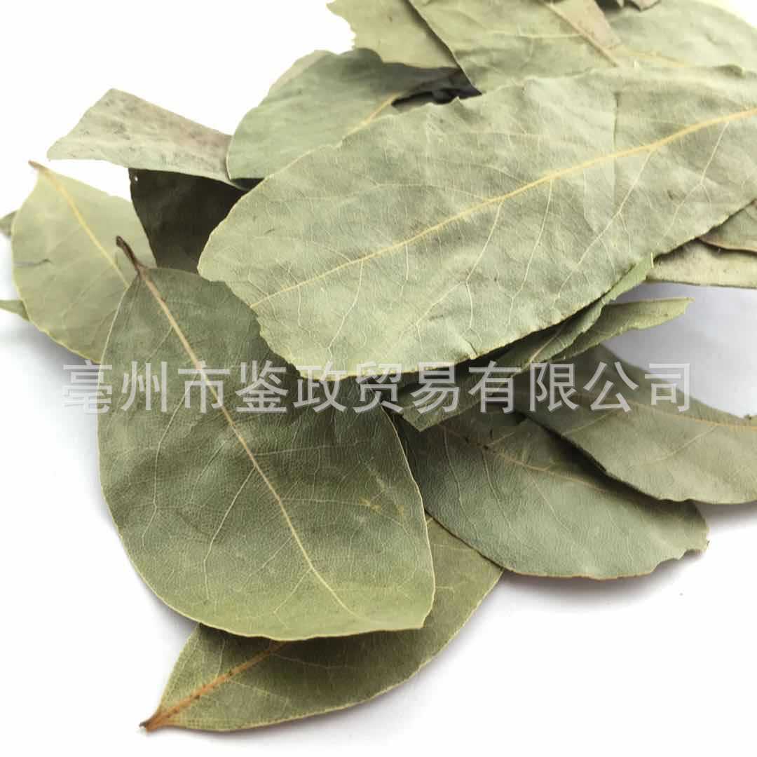 Dried Bay Leaves Xiang Ye 500g Aromatic Culinary Herb for Soups Stews and Hot Pot Seasoning - Image 5