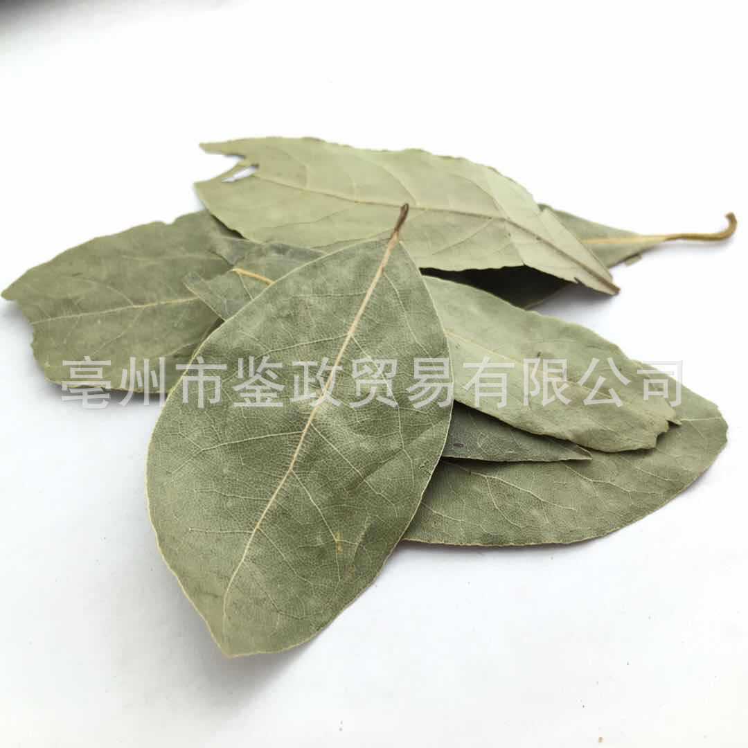 Dried Bay Leaves Xiang Ye 500g Aromatic Culinary Herb for Soups Stews and Hot Pot Seasoning - Image 3