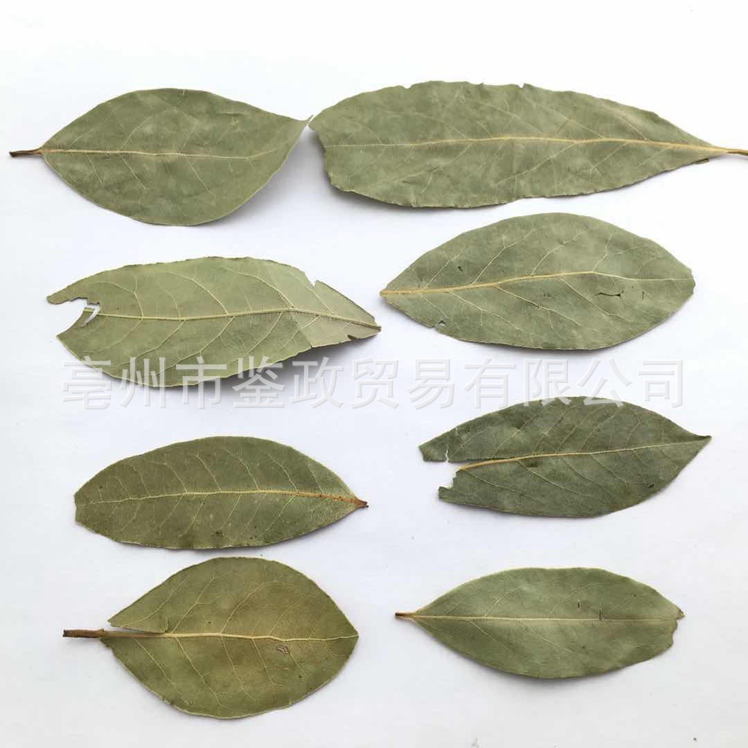 Dried Bay Leaves Xiang Ye 500g Aromatic Culinary Herb for Soups Stews and Hot Pot Seasoning - Image 4