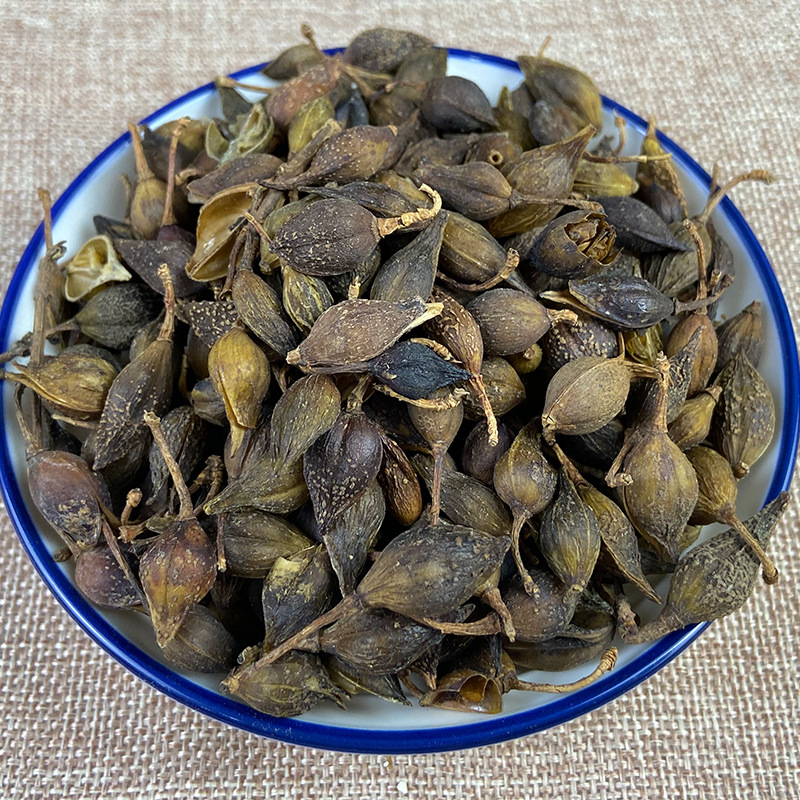 Forsythia Fruit Powder Lian Qiao 60-200 Mesh Fine Ground Culinary Herb 500g - Image 2