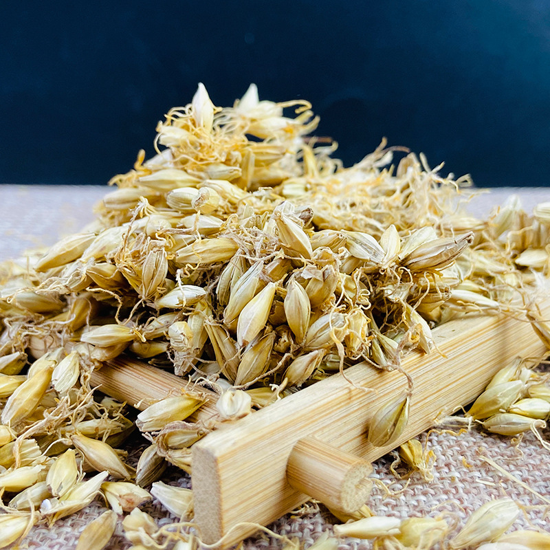 Dried Barley Malt Sprout Mai Ya 大麦芽 500g Whole Dried Sprouted Barley for Herbal Tea and Decoction - Image 3