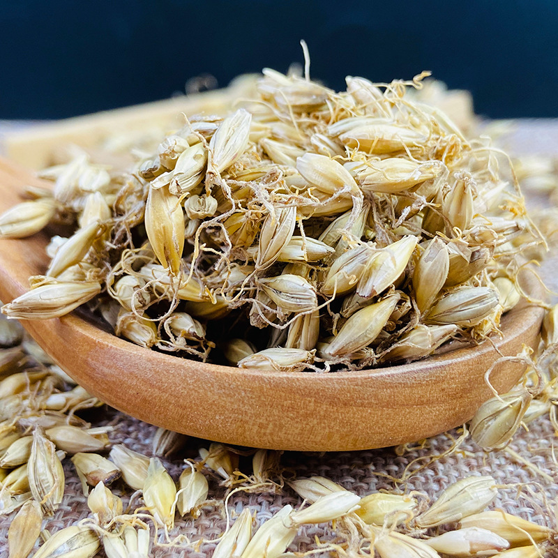 Dried Barley Malt Sprout Mai Ya 大麦芽 500g Whole Dried Sprouted Barley for Herbal Tea and Decoction - Image 4