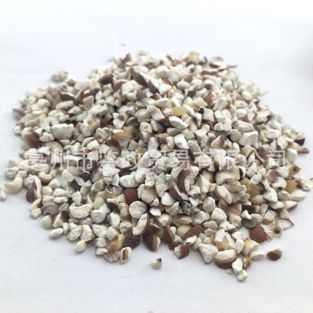 Dried Gorgon Fruit Broken Slices Qian Shi Euryale Ferox Seeds Tea and Soup Ingredient Bulk 500g - Image 4