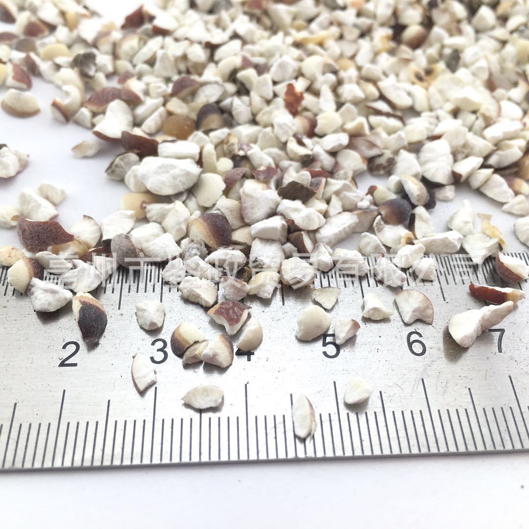 Dried Gorgon Fruit Broken Slices Qian Shi Euryale Ferox Seeds Tea and Soup Ingredient Bulk 500g - Image 2