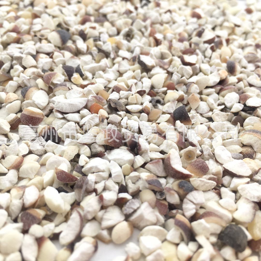 Dried Gorgon Fruit Broken Slices Qian Shi Euryale Ferox Seeds Tea and Soup Ingredient Bulk 500g - Image 3