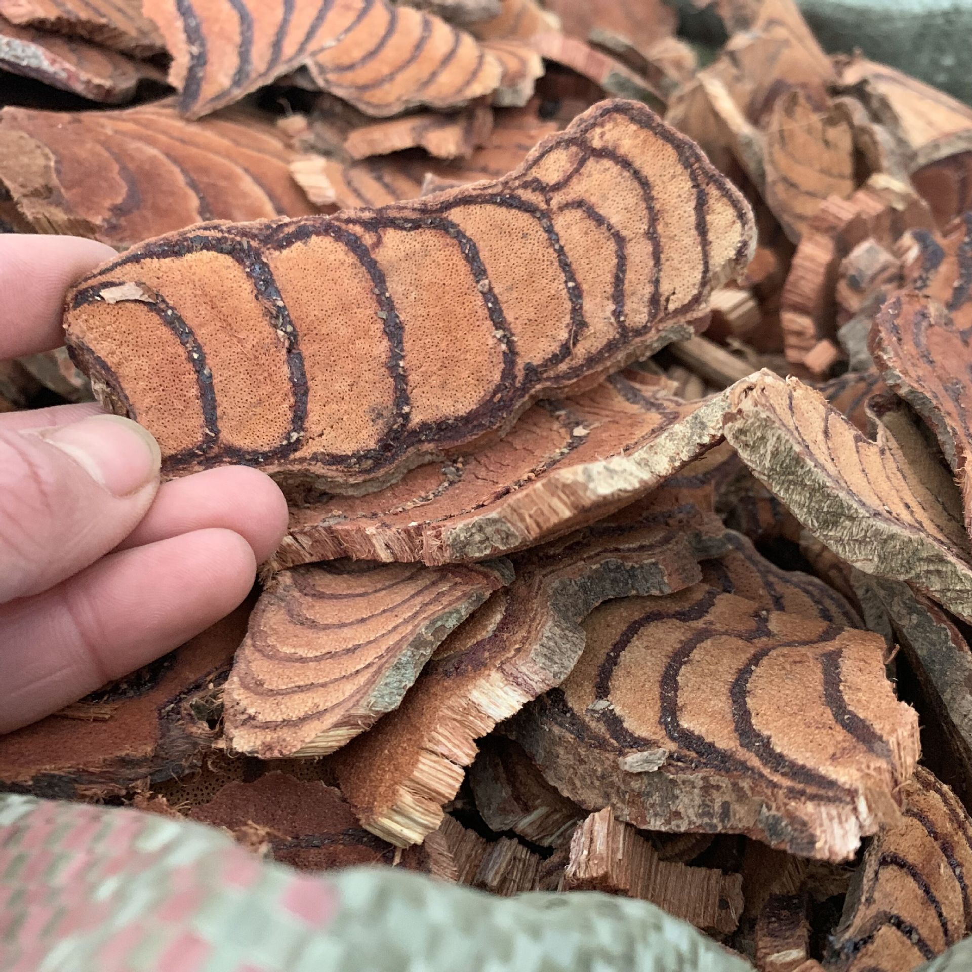 Dried Spatholobus Stem Ji Xue Teng Chicken Blood Vine Sliced Chinese Herb for Tea Decoction and Wine 500g - Image 3