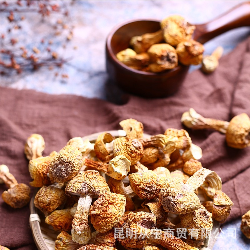 Dried Agaricus blazei Mushroom Slices Yunnan Specialty Edible Fungus 500g - Image 3