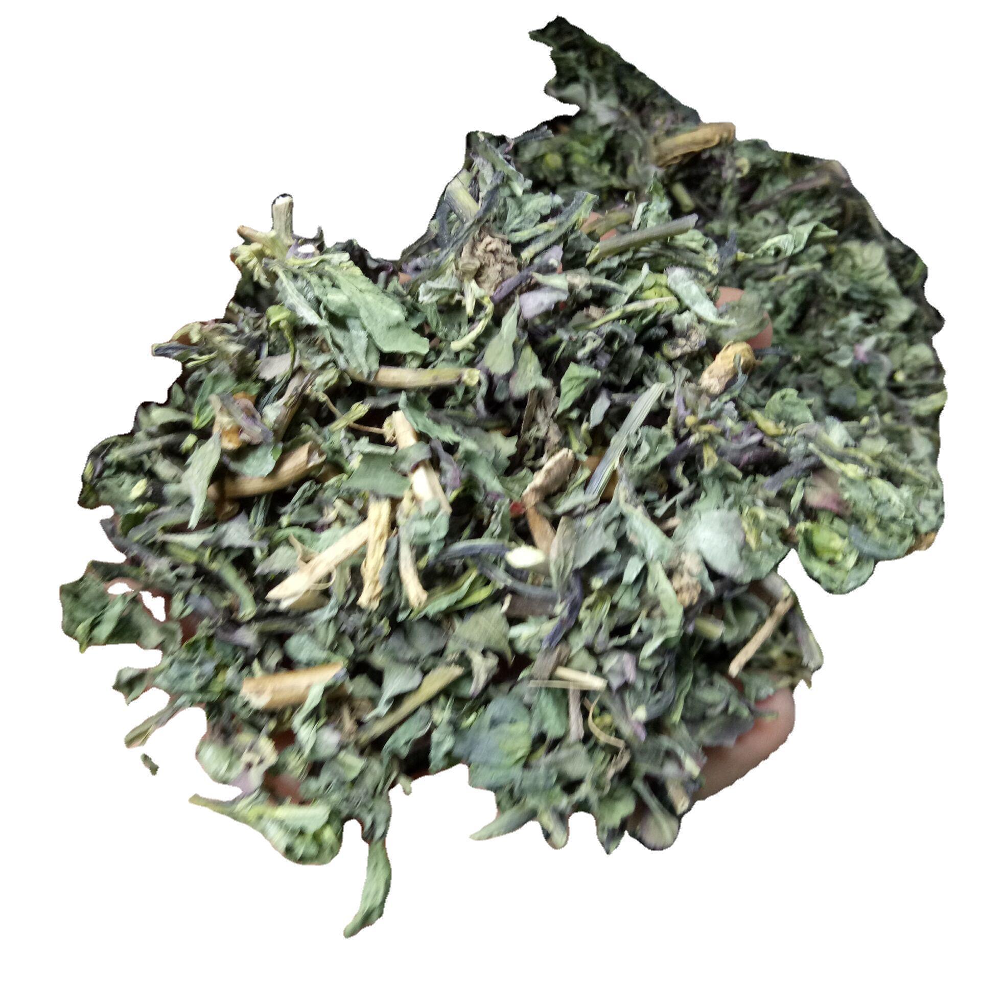 Dried Ze Qi Maoyancao Herb Slices Traditional Chinese Herbal Tea Ingredient 1 Jin Pack - Image 5