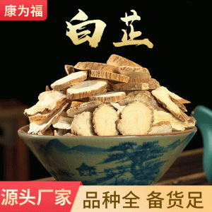 Bai Zhi (Angelica dahurica) — Fragrant Dried Root, Food Herb for Soup & Tea